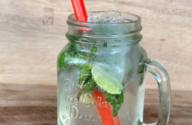 Virgin Mojito